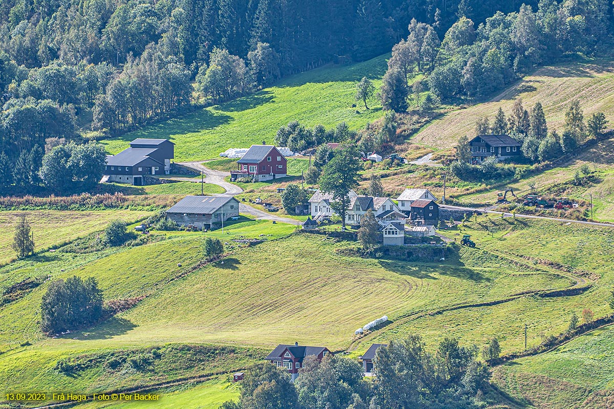 Frå Haga