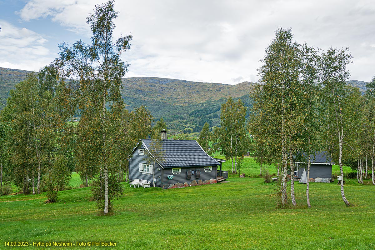 Hytte på Nesheim