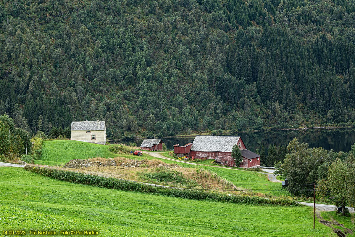 Frå Nesheim