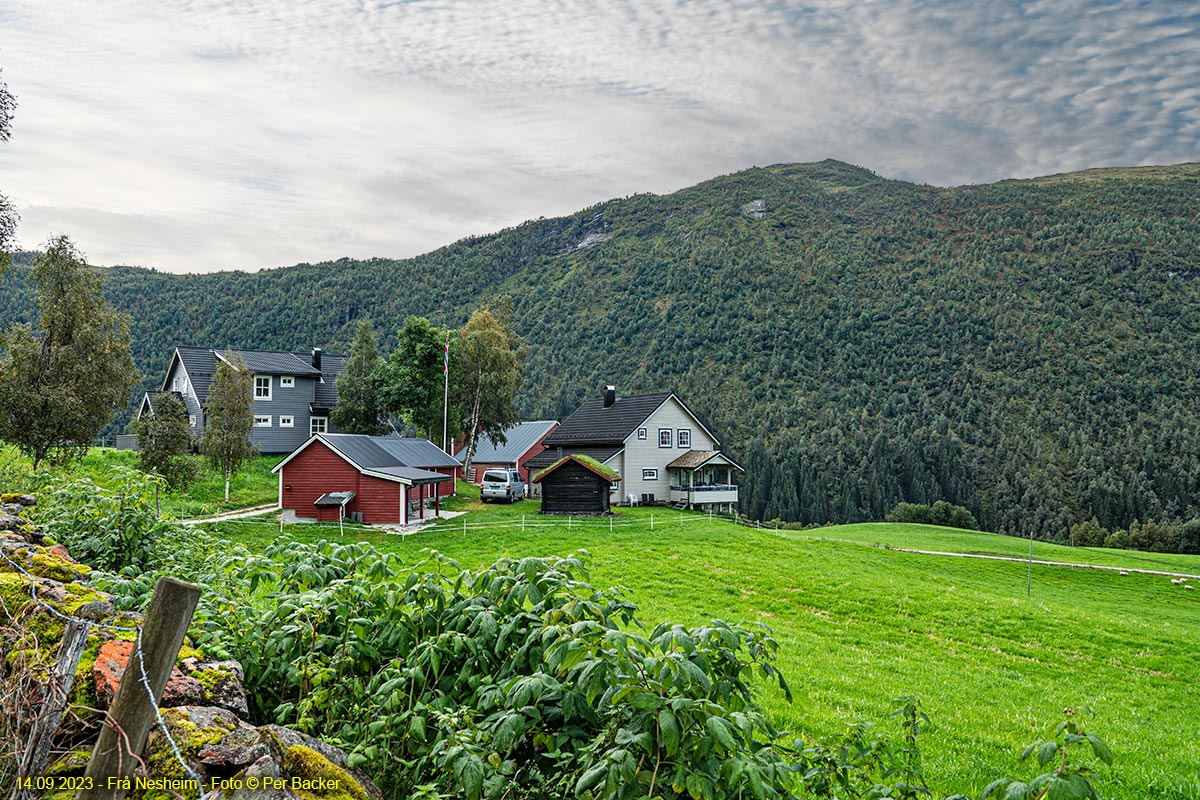 Frå Nesheim