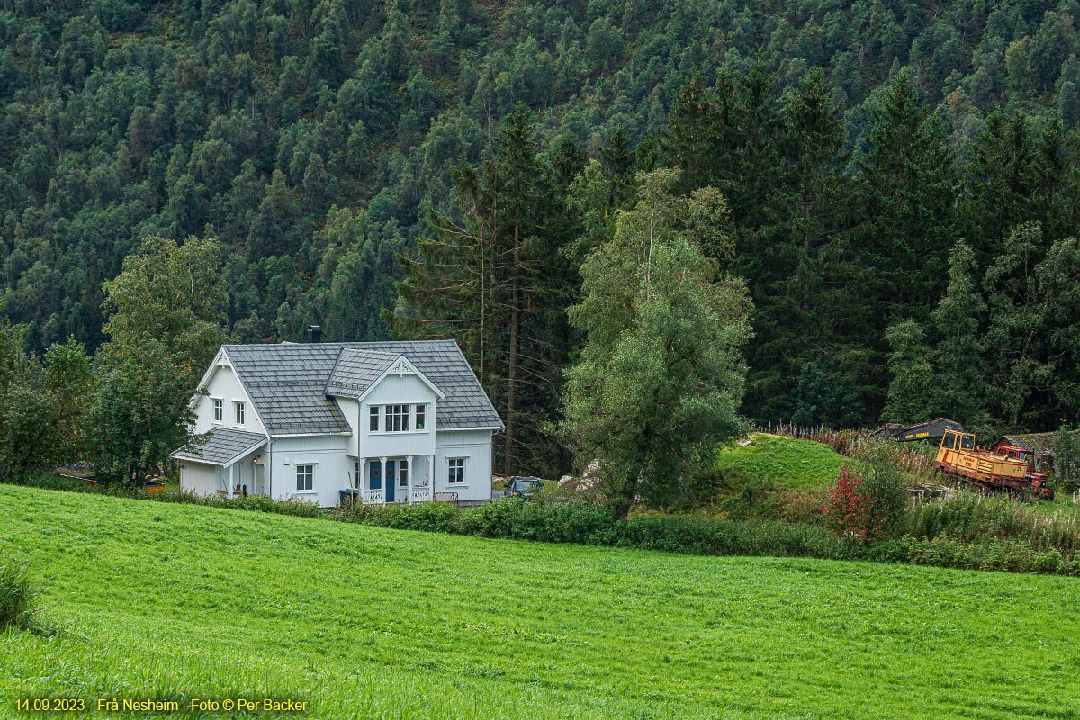 Frå Nesheim