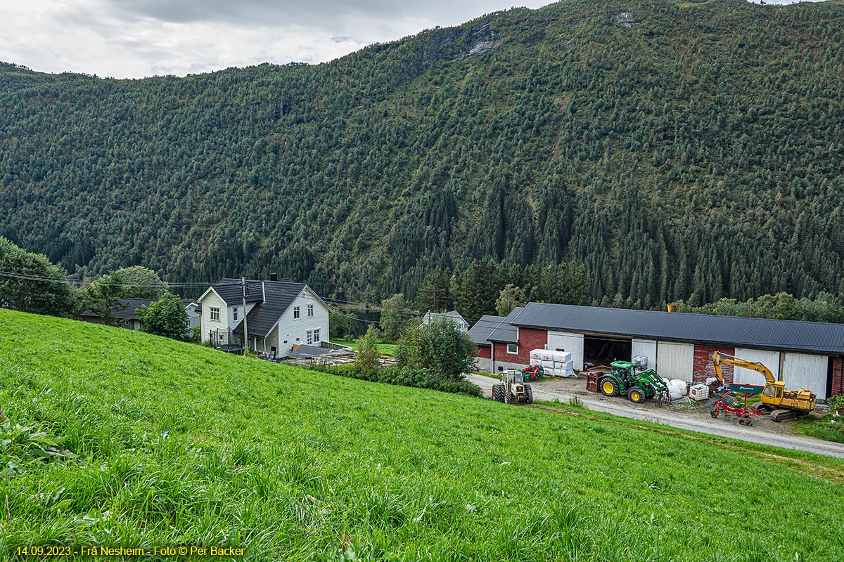 Frå Nesheim