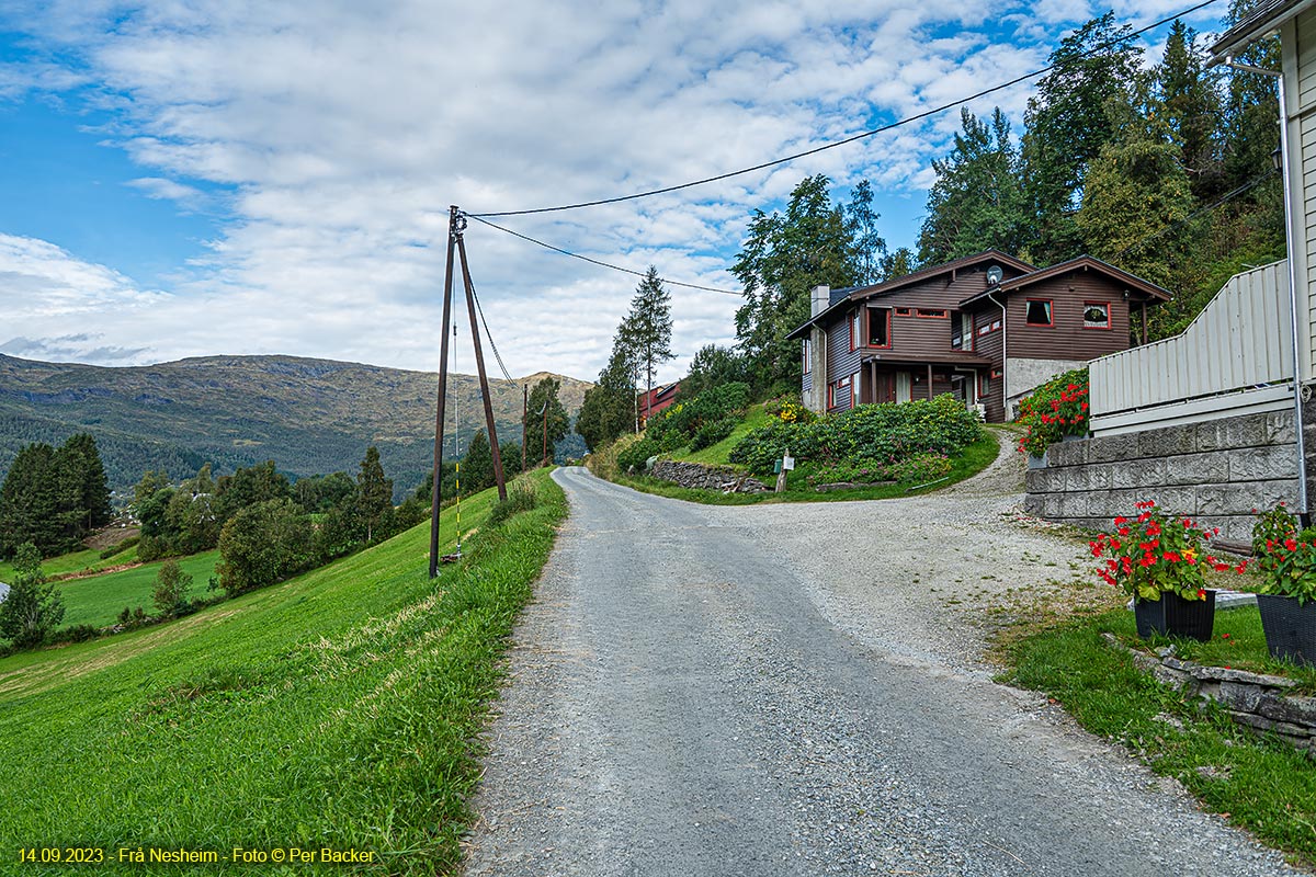 Frå Nesheim