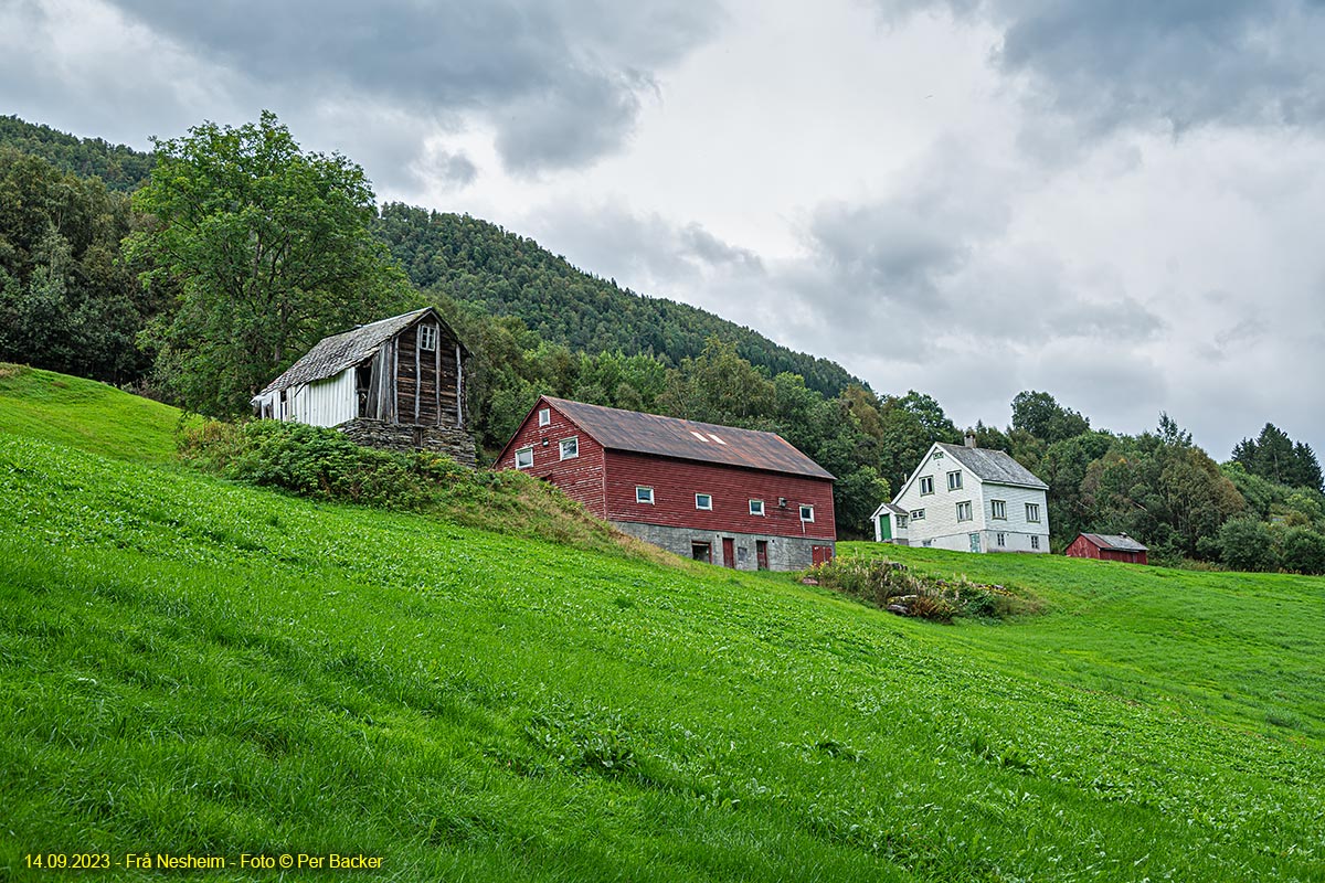 Frå Nesheim