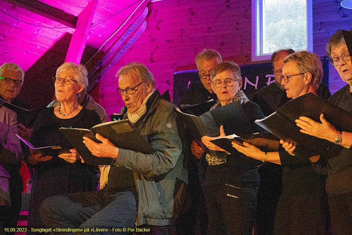 Songlaget "Strendingen" på "Låven"