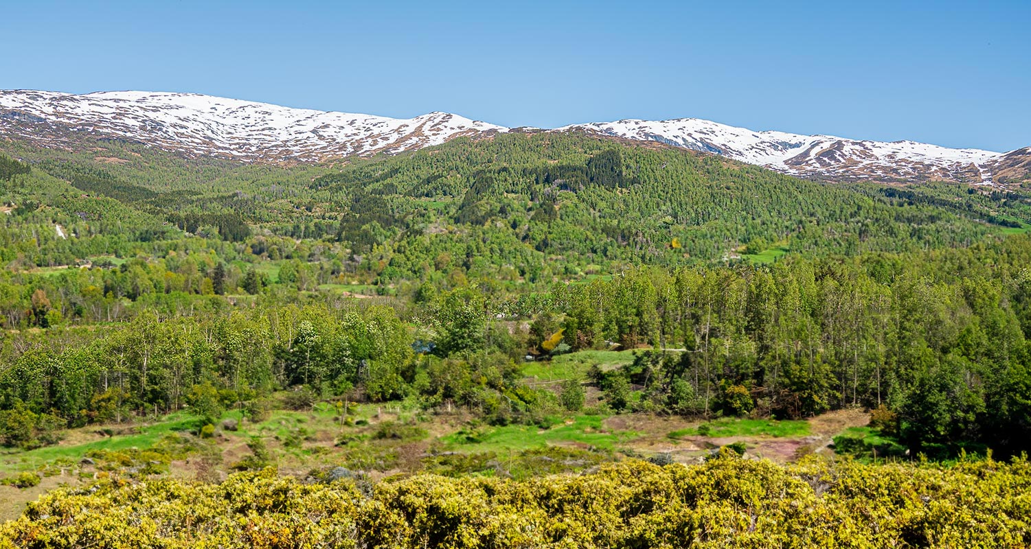 Dagens KI-bilete - kan Myrkdalen ha sett slik ut ein gong, tru?