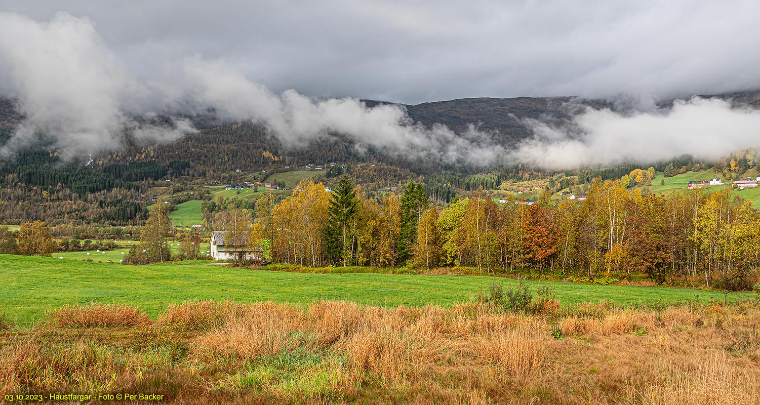 Haustfargar