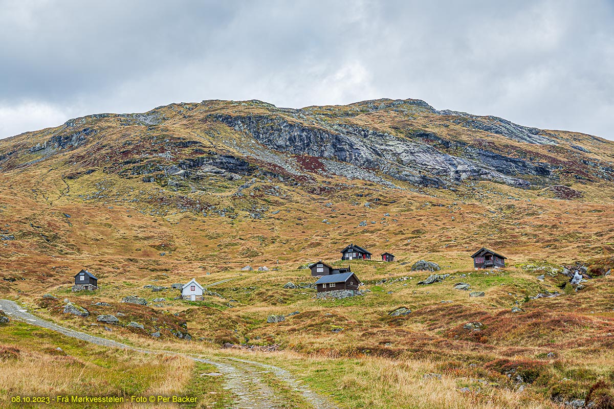 Frå Mørkvesstølen