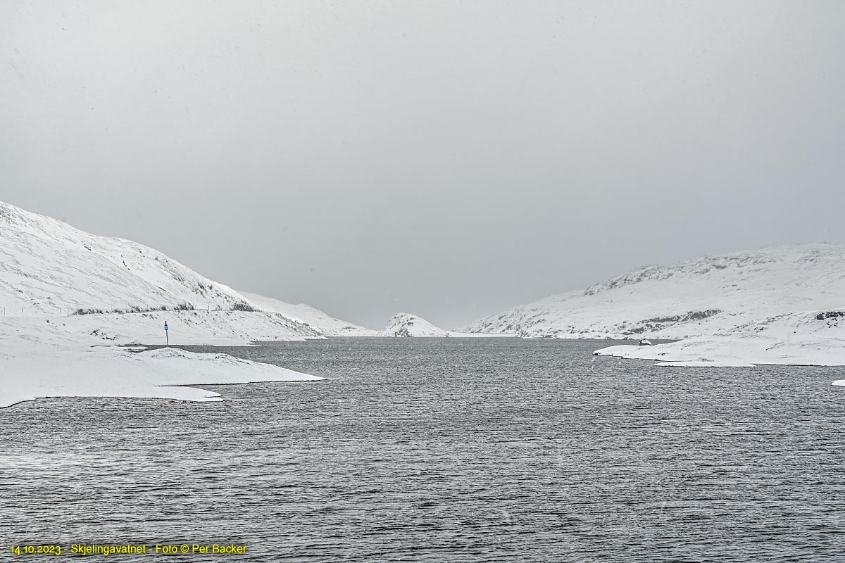 Skjelingavatnet