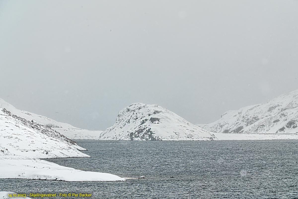 Skjelingavatnet