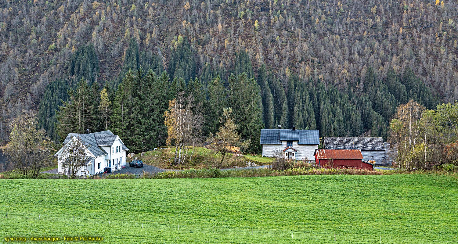 Kvasshaugen