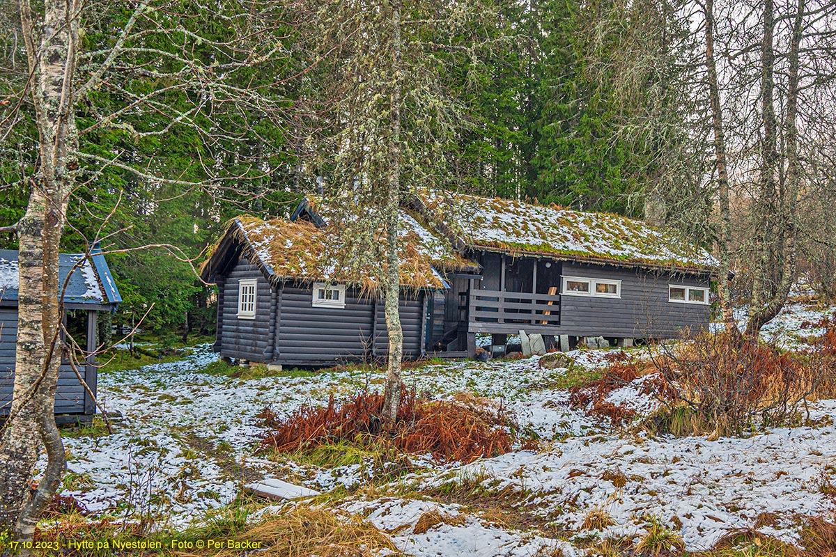 Hytte på Nyestølen