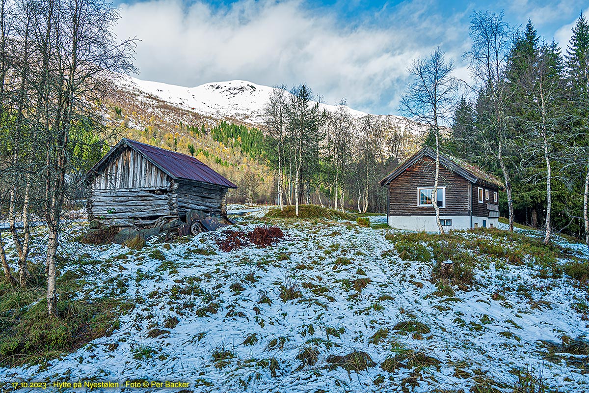 Hytte på Nyestølen