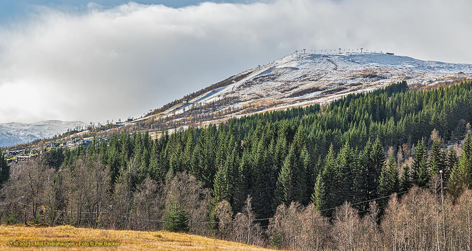 Ondrahaugen