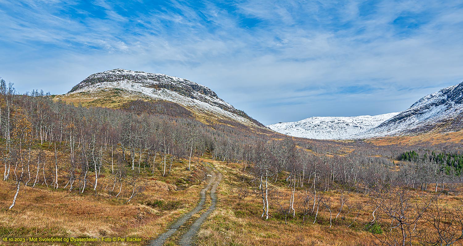 Mot Svolefjellet og Øyasetdalen