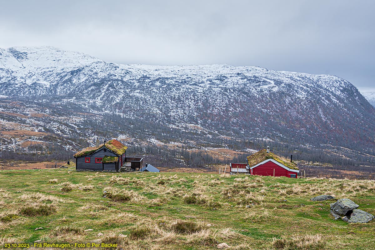 Frå Revhaugen