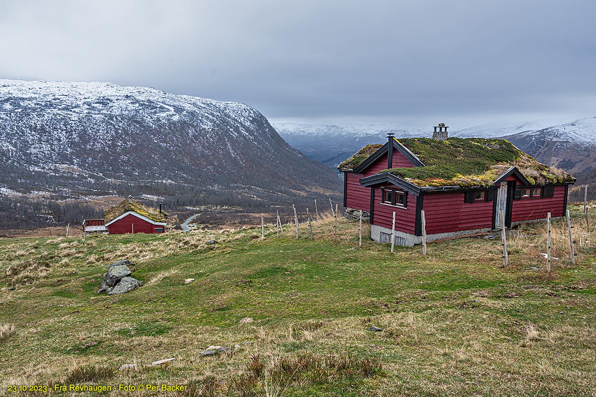 Frå Revhaugen