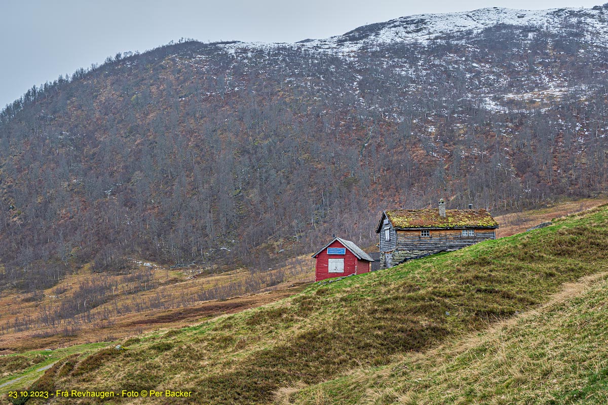 Frå Revhaugen