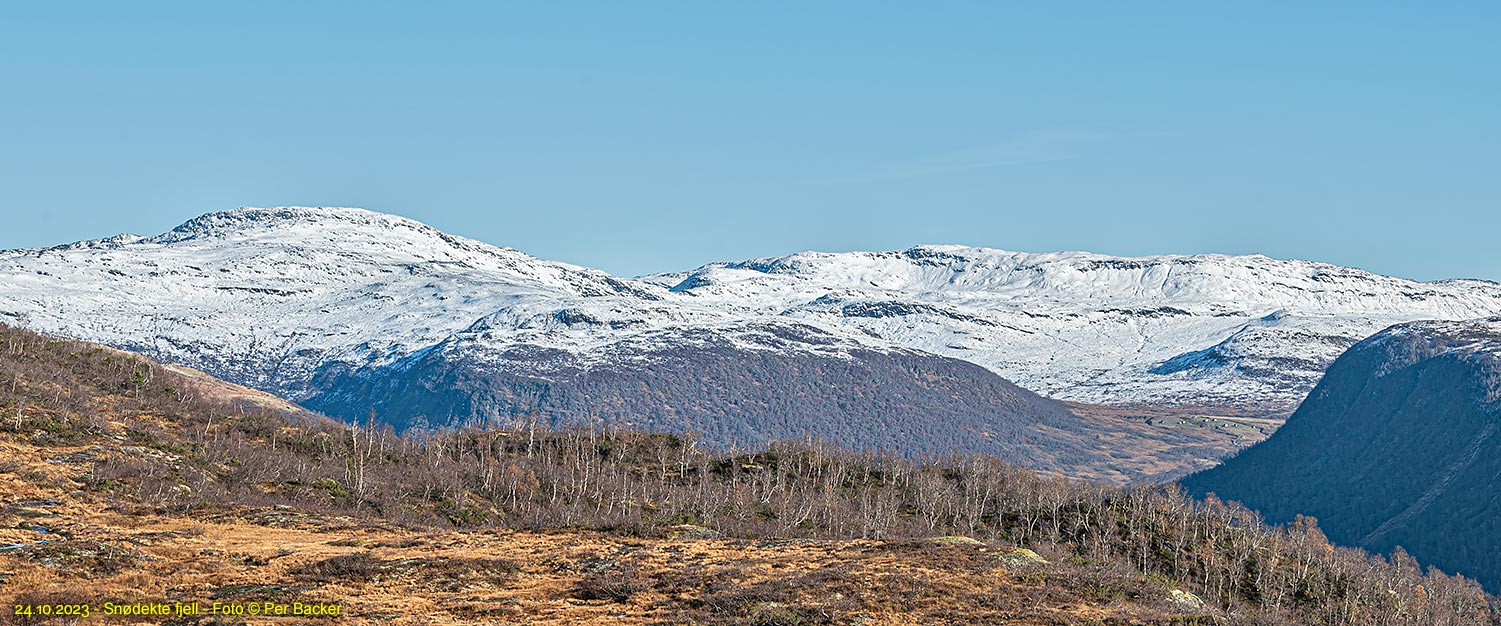 Snodekte fjell