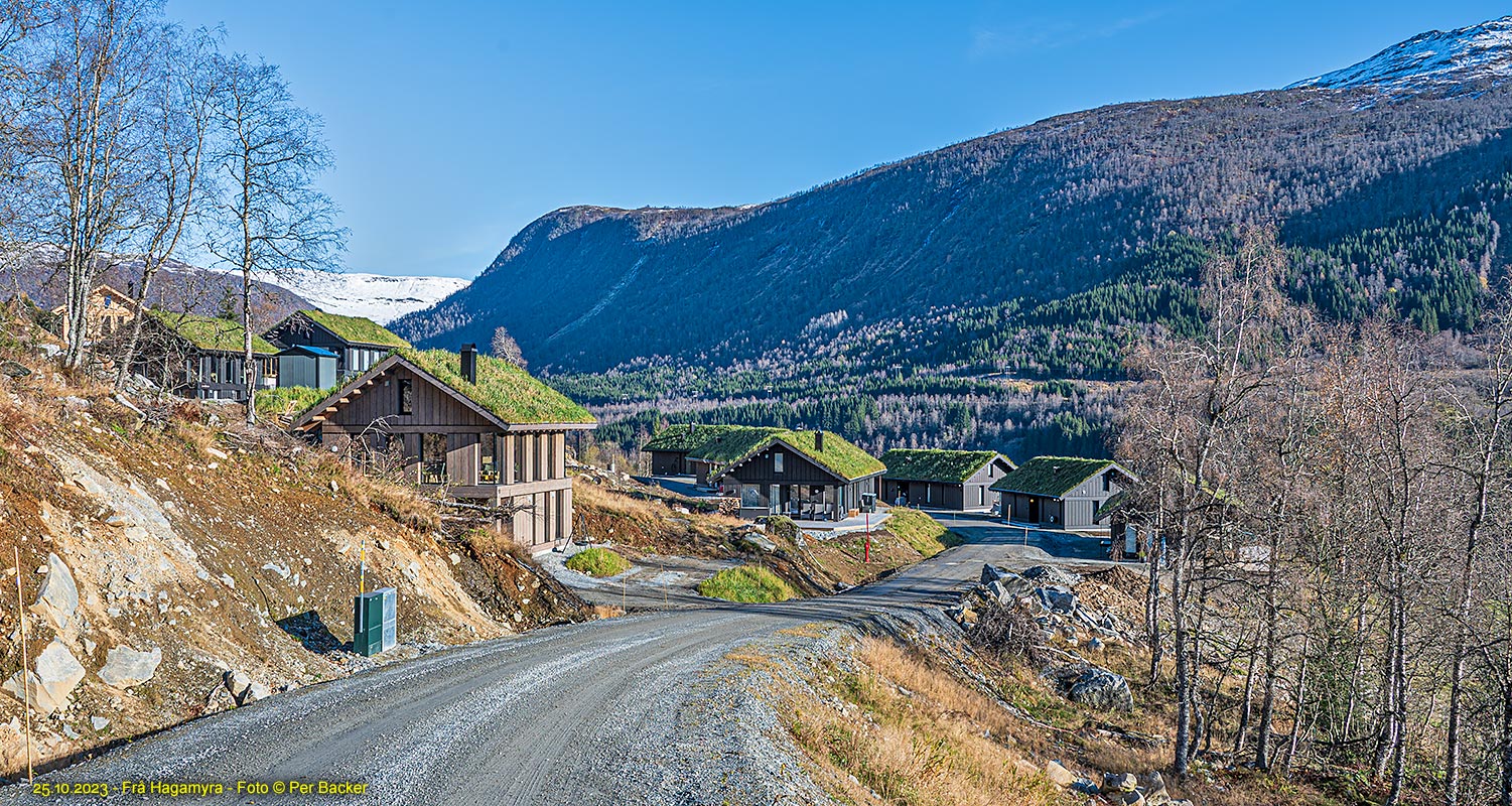 Frå Hagamyra