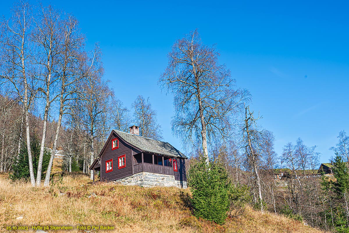Hytte på Skjervheim