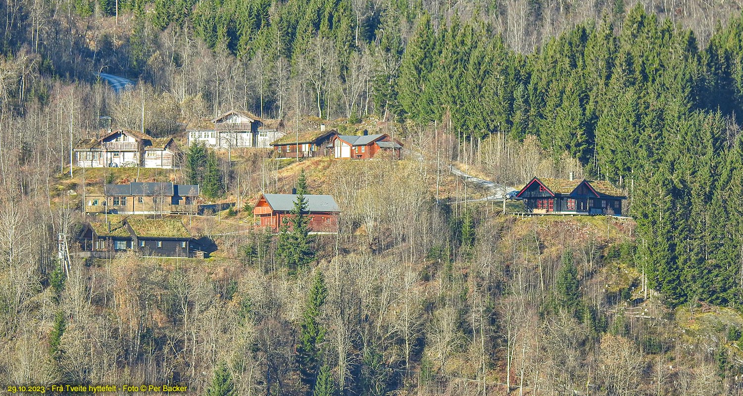 Frå Tveite hyttefelt