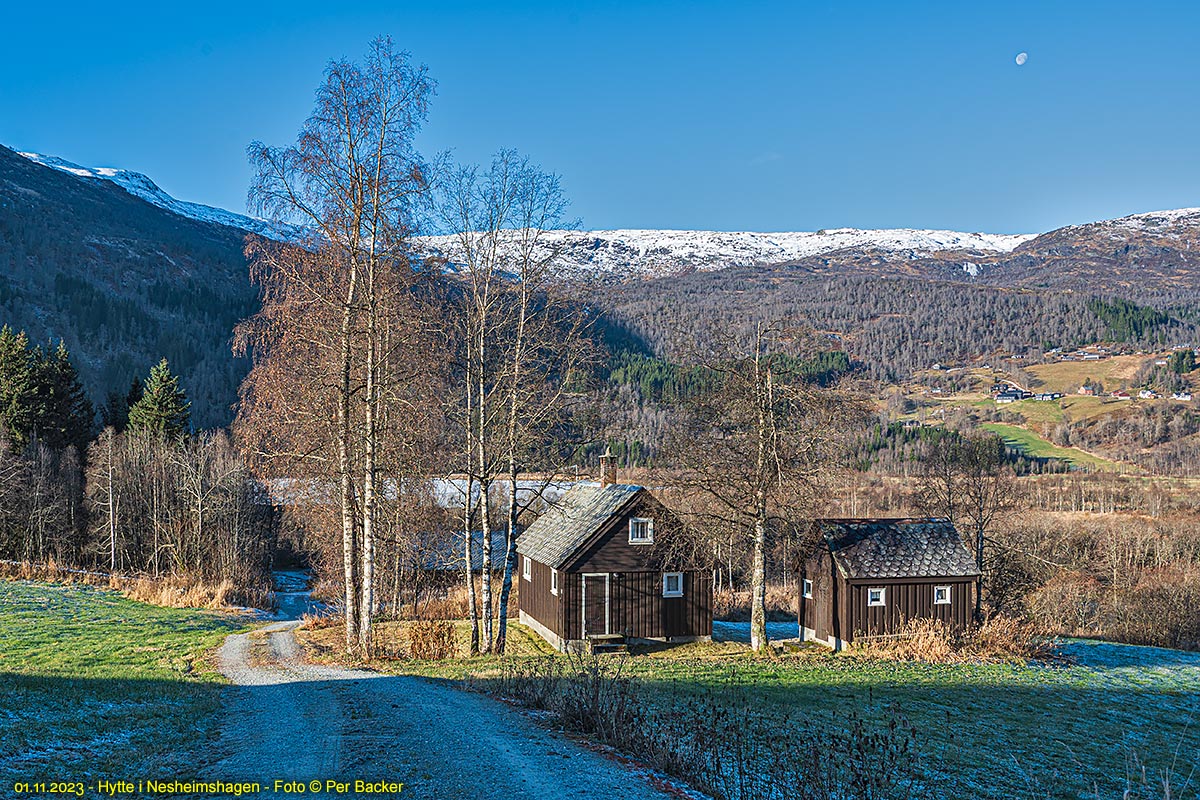 Hytte i Nesheimshagen