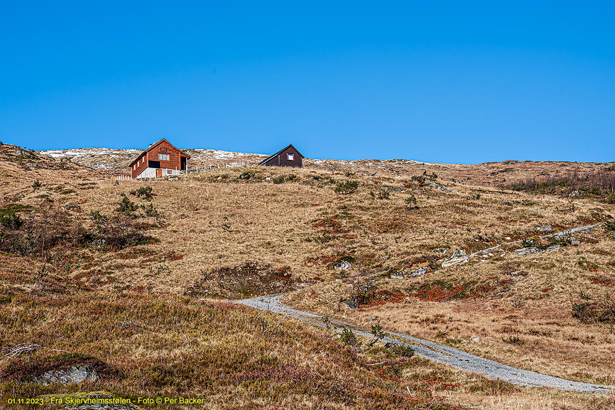 Frå Skjervheimsstølen