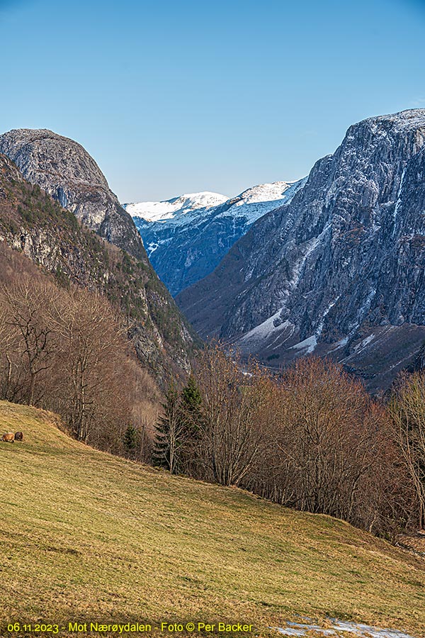 Mot Nærøydalen