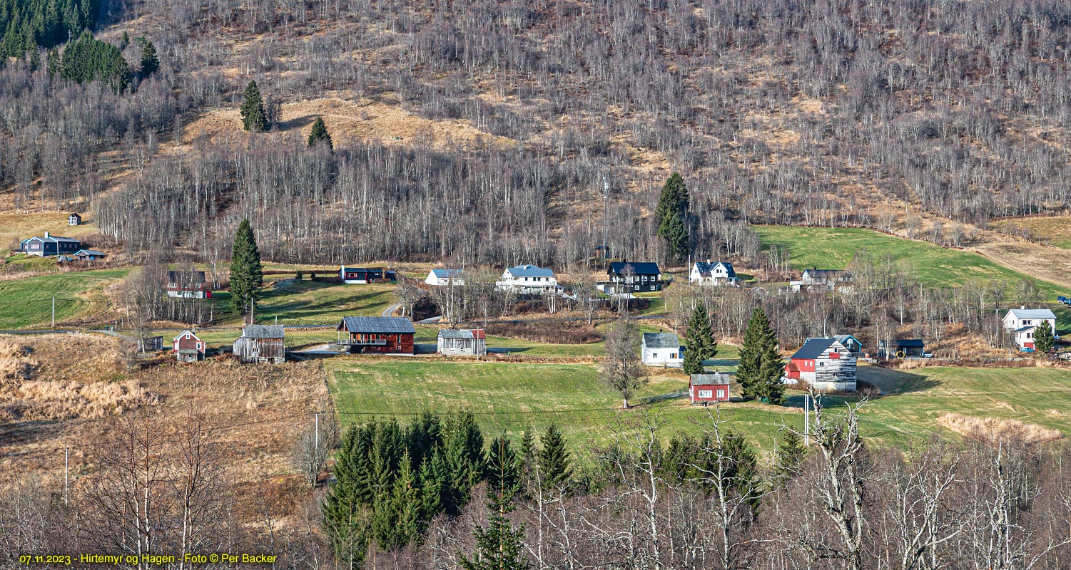 Hirtemyr og Hagen