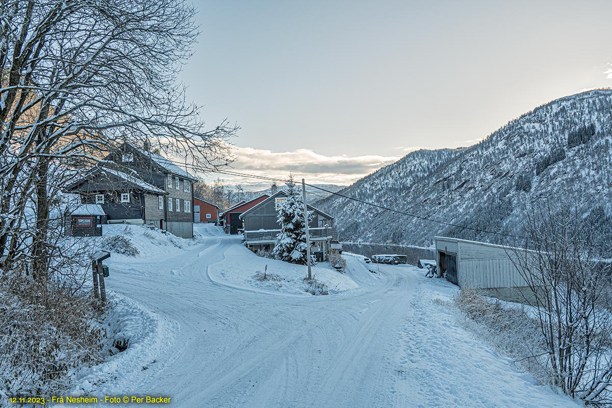 Frå Nesheim