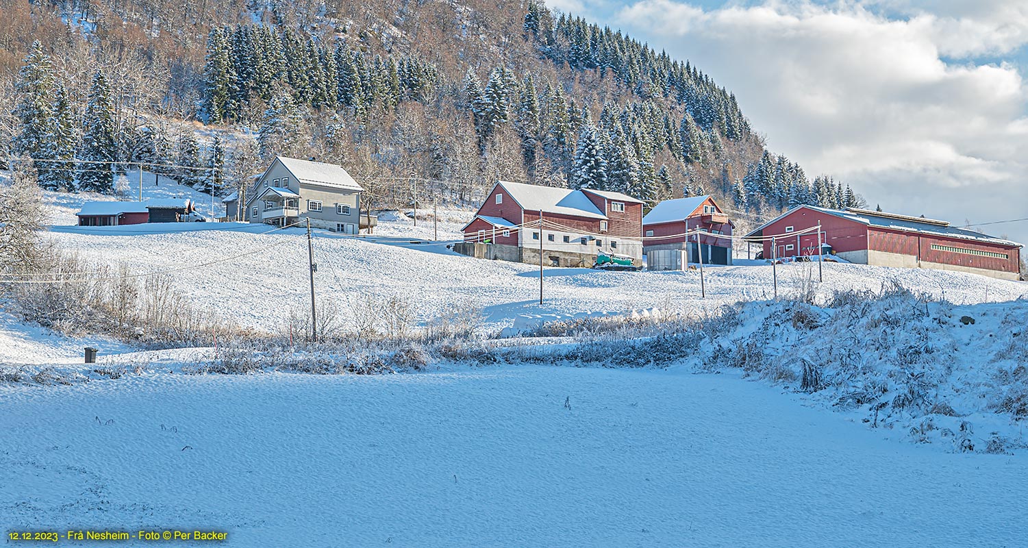 Frå Nesheim