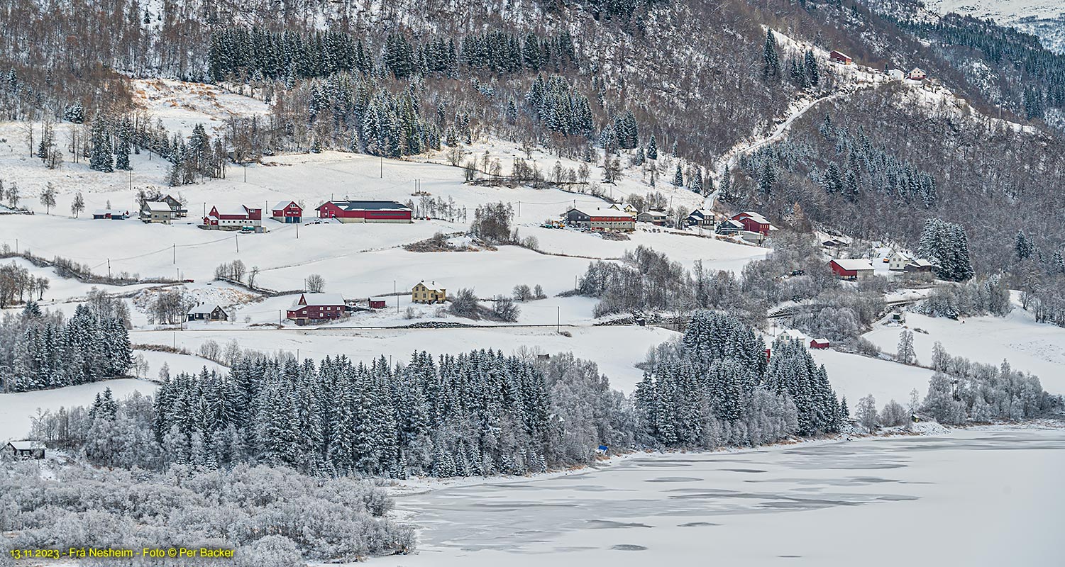 Frå Nesheim