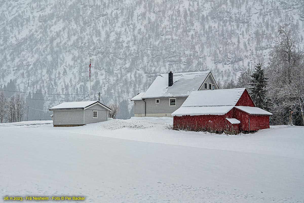 Frå Nesheim