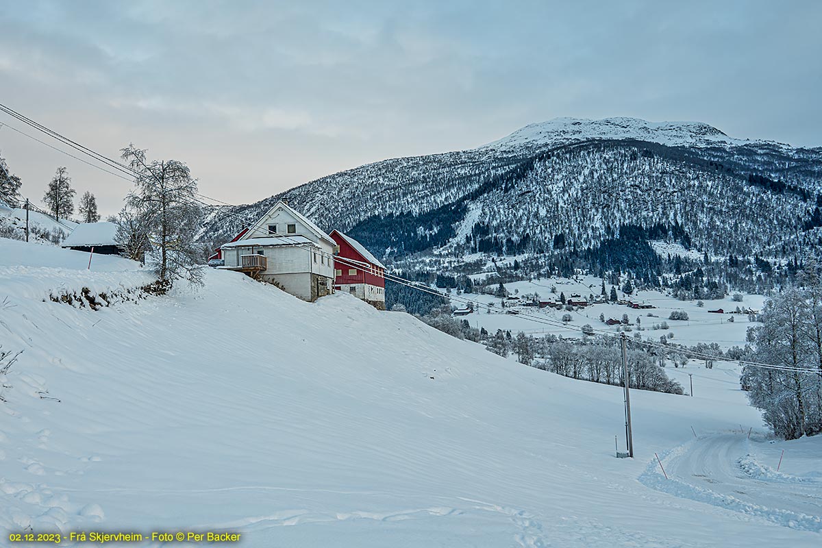 Frå Skjerveim