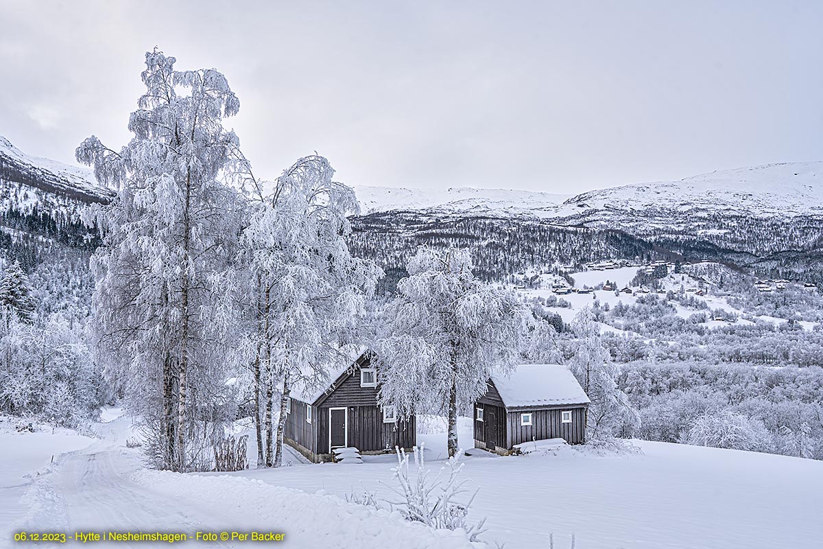 Hytte i Nesheimshagen