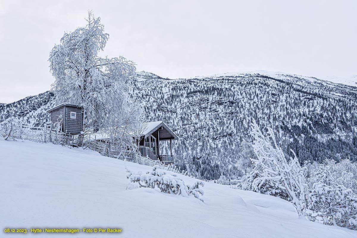 Hytte i Nesheimshagen