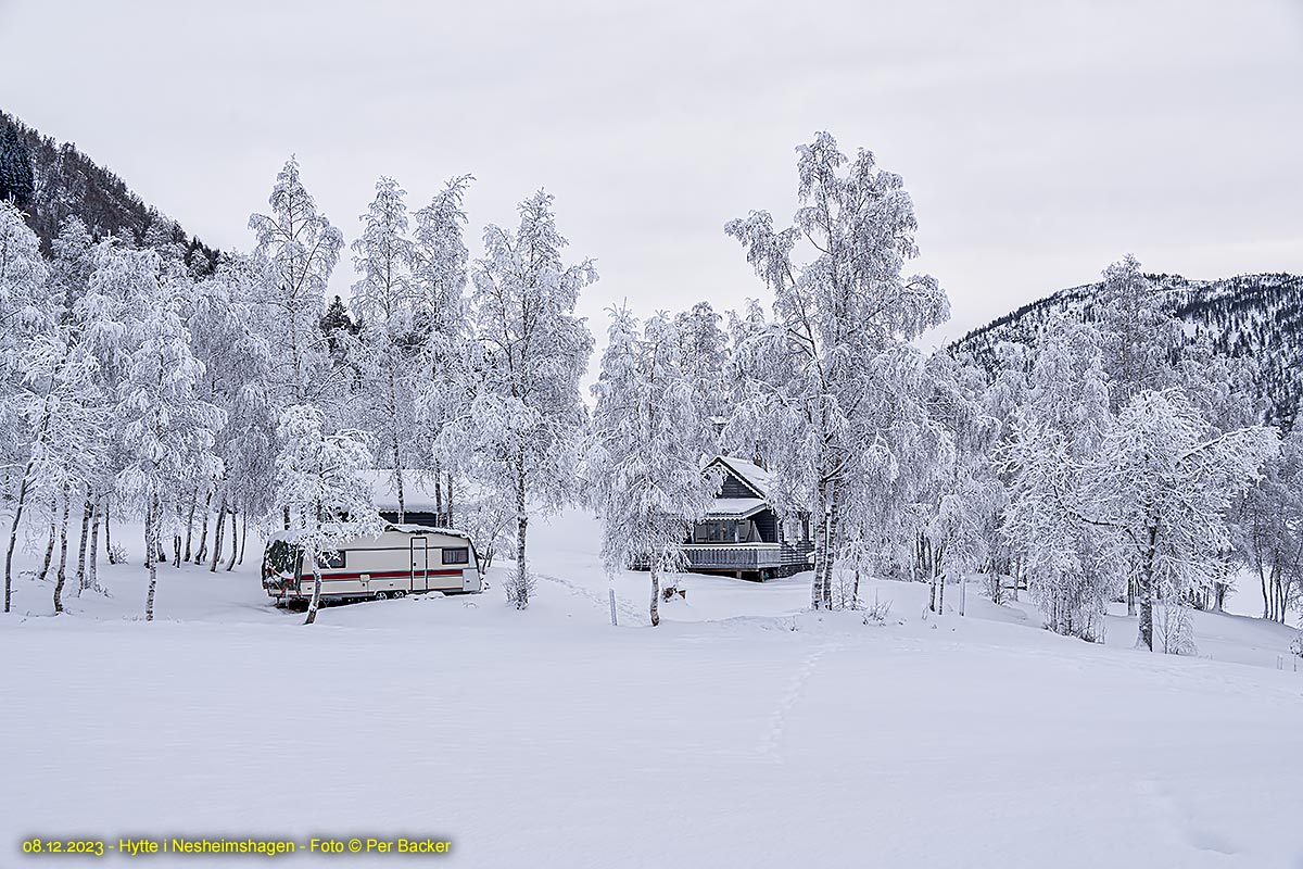 Hytte i Nesheimshagen