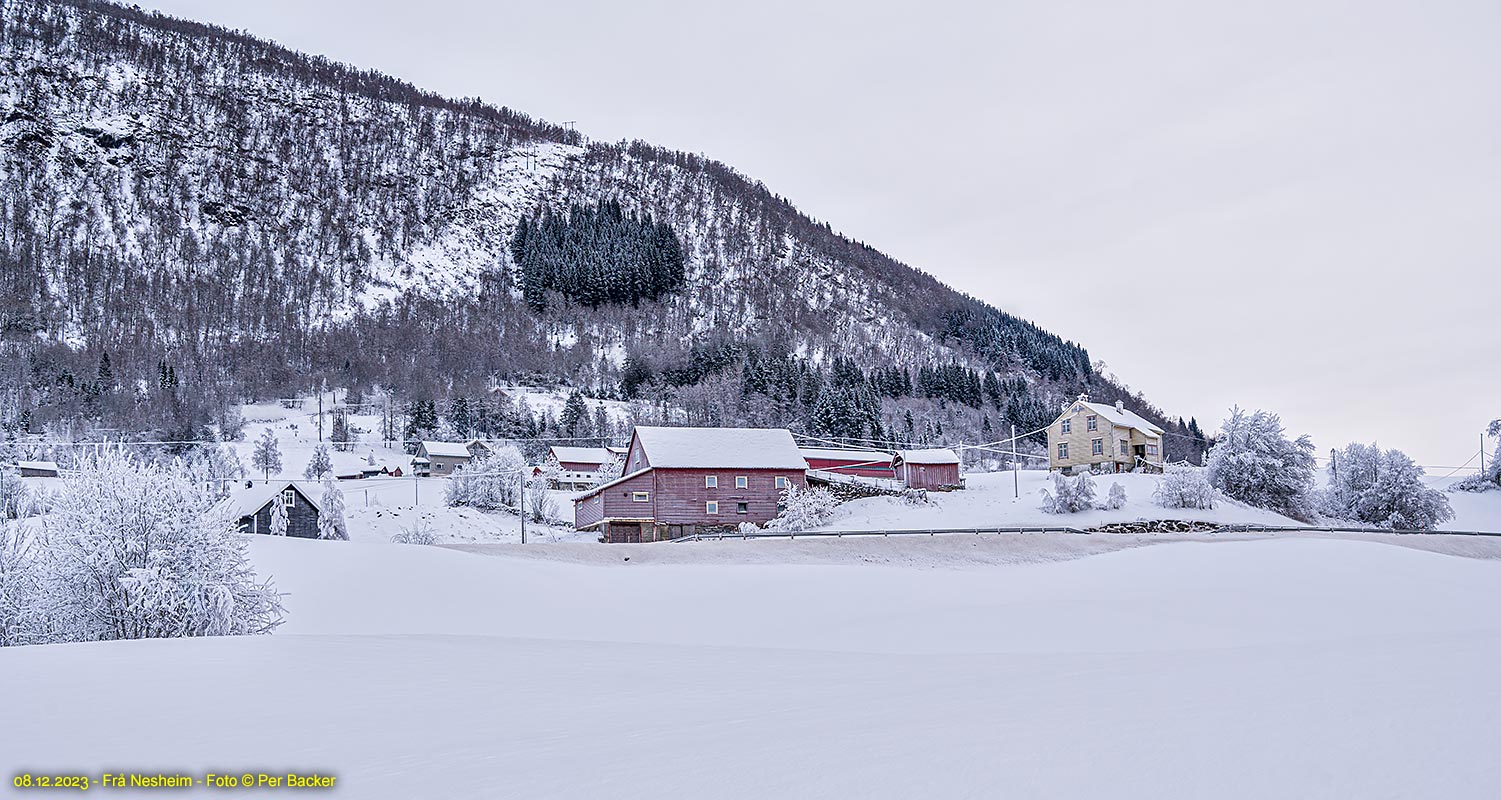 Frå Nesheim