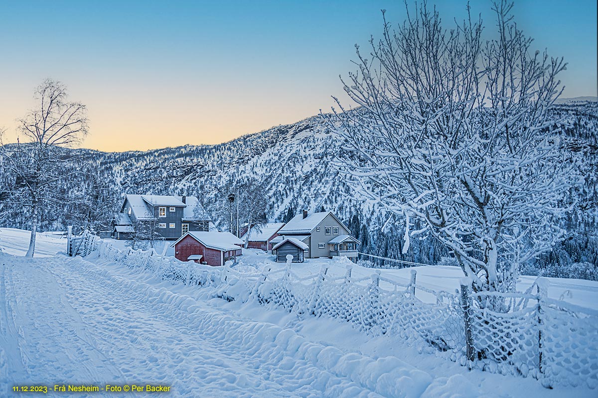 Frå Nesheim