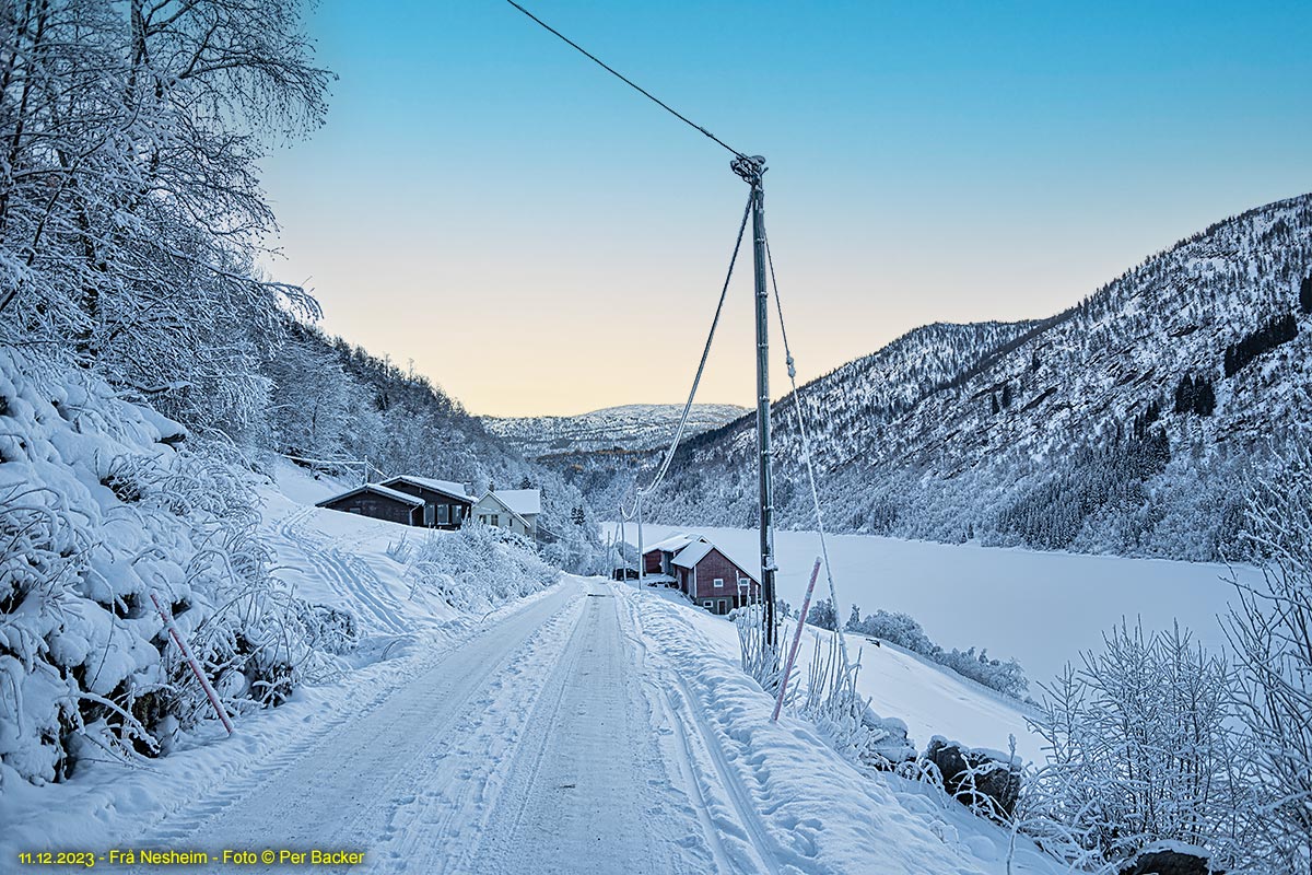 Frå Nesheim