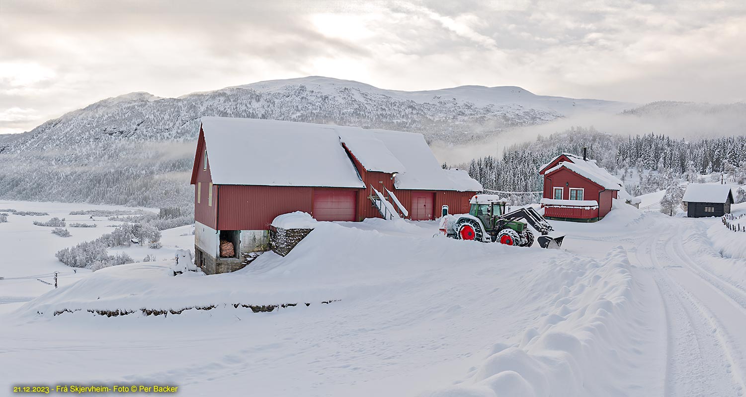 Frå Skjervheim