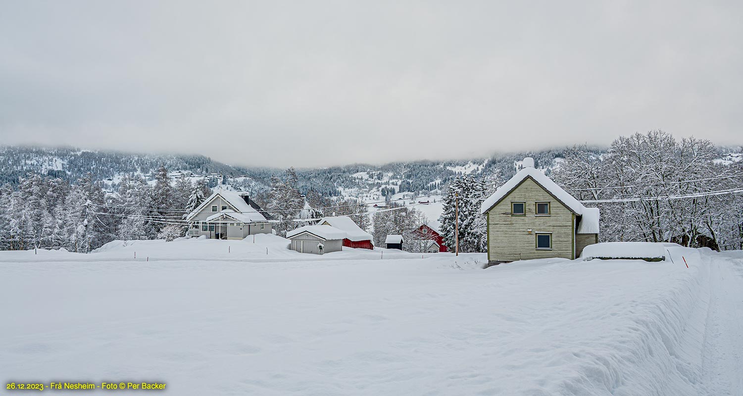 Frå Nesheim