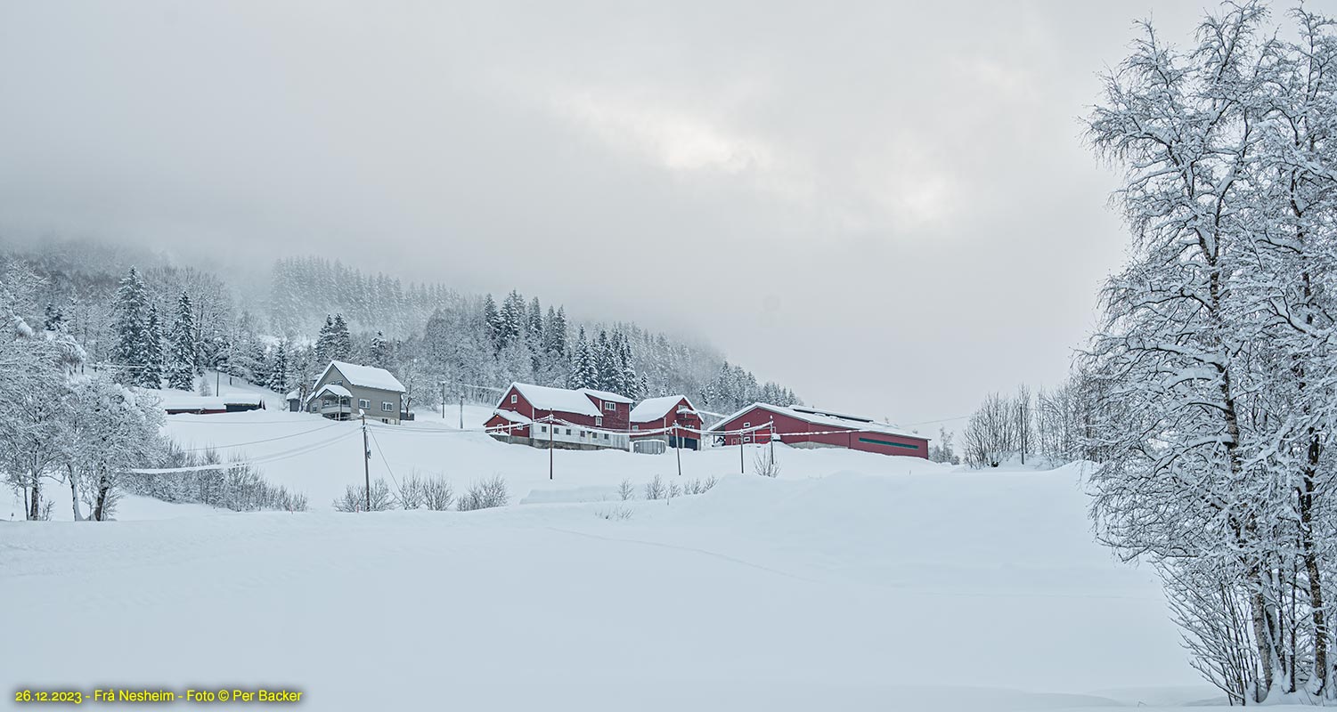 Frå Nesheim