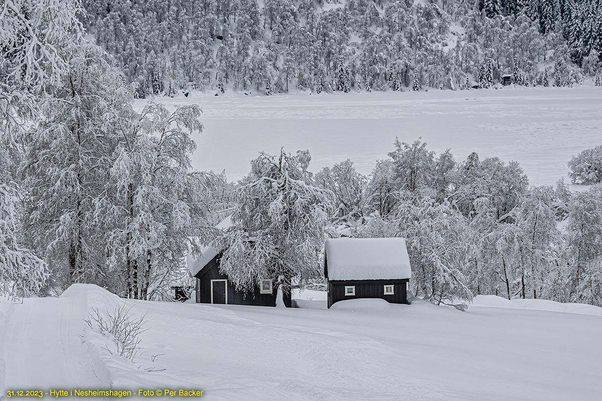 Hytte i Nesheimshagen