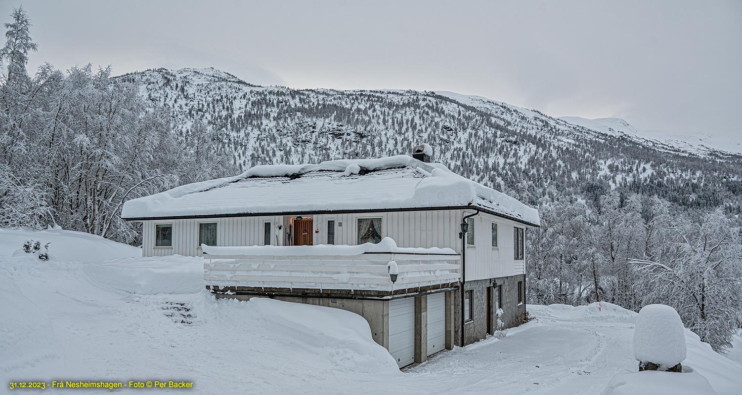 Frå Nesheimshagen