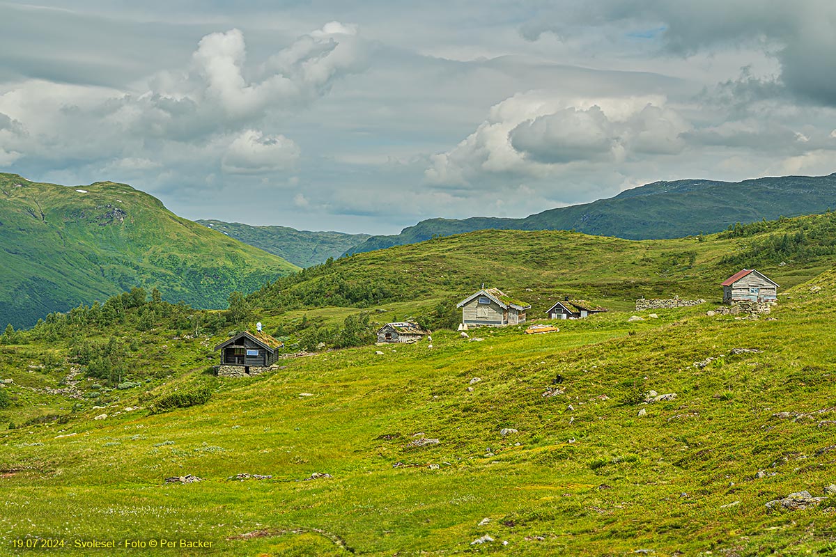 Svoleset