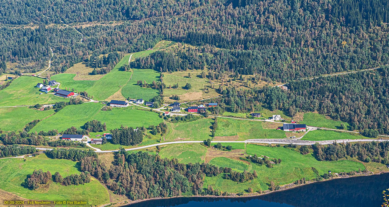 Frå Nesheim