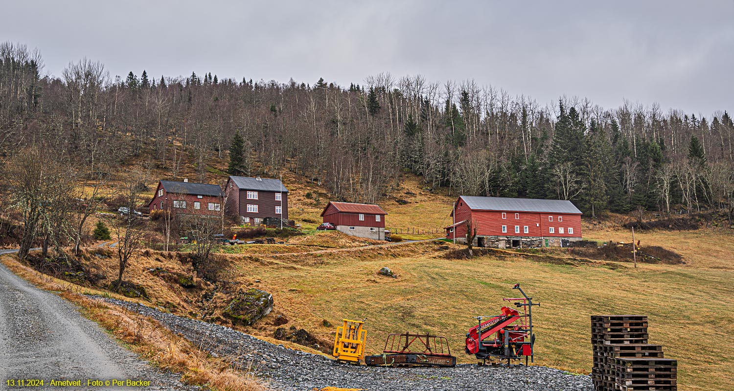 Arnetveit
