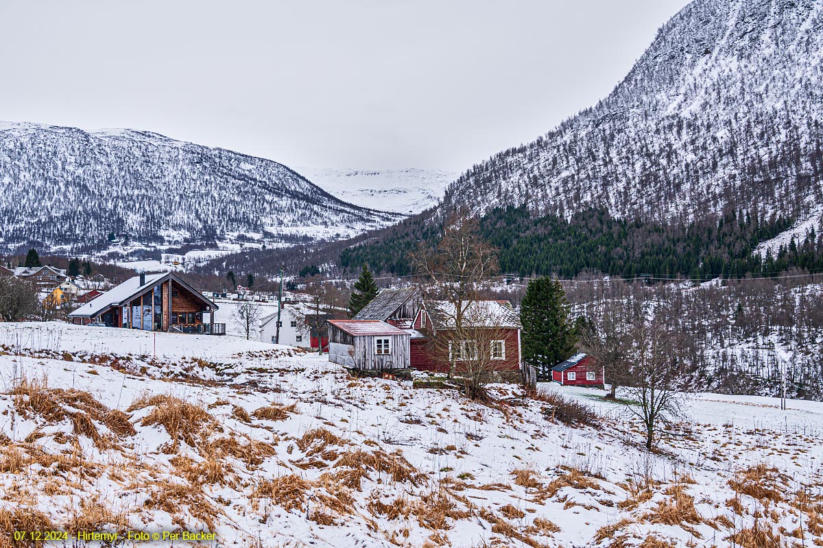 Hirtemyr